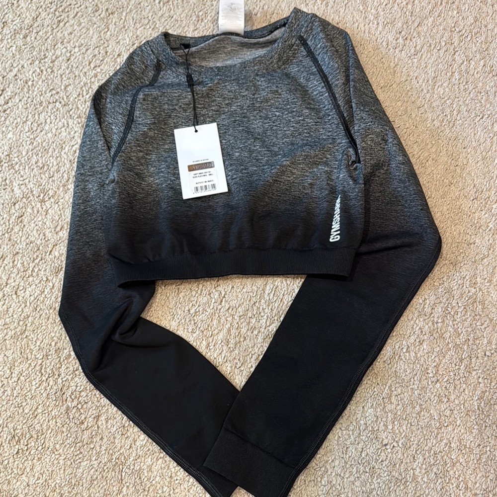 ADAPT OMBRE SEAMLESS LONG SLEEVE CROP TOP
